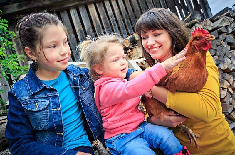 Urlaub auf dem Bauernhof